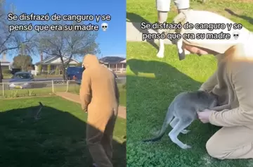 Viral: hombre se viste de mamá canguro y causa confusión
