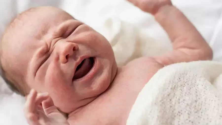 El estudio se hizo con apenas 21 criaturas, pero es suficiente para llegar a una hipótesis