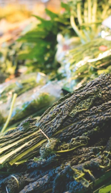 Esta es la proteína que retrasa el envejecimiento y previene la diabetes