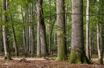 Hay una esperanza en la lucha contra el cambio climático: ¿cuál es?