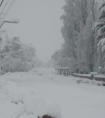 Nieve en el Manzano Histórico