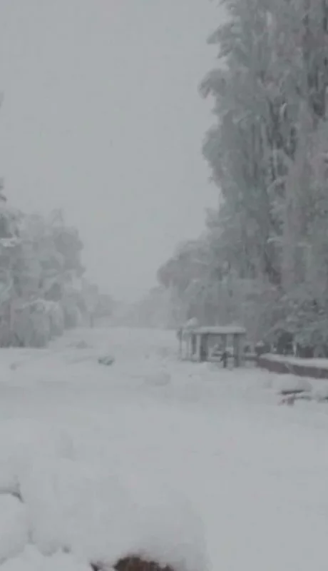 Nieve en el Manzano Histórico