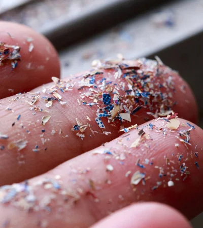 La cantidad de microplásticos en las muestras de cerebro de 2024 era un 50% mayor que en el total de muestras de 2016