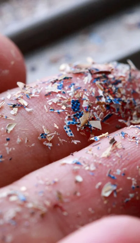 La cantidad de microplásticos en las muestras de cerebro de 2024 era un 50% mayor que en el total de muestras de 2016