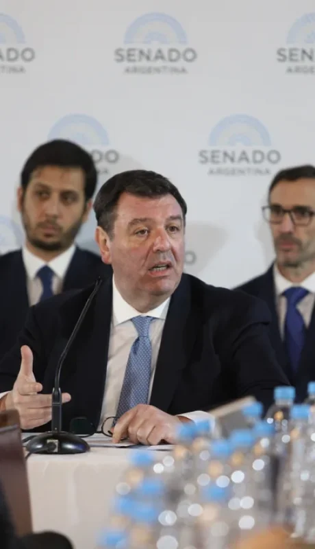 Lijo en la Comisión de Acuerdos del Senado