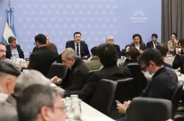 Petri defiende la intervención de las FF. AA. en la seguridad interior