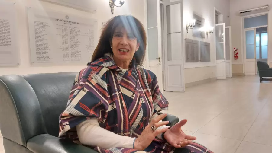 Titular del Centro de Estudios y Análisis de la Seguridad, Marisa Garnica