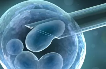 La Corte no autorizó a una mujer a realizarse un tratamiento de fertilidad tras la muerte de su esposo