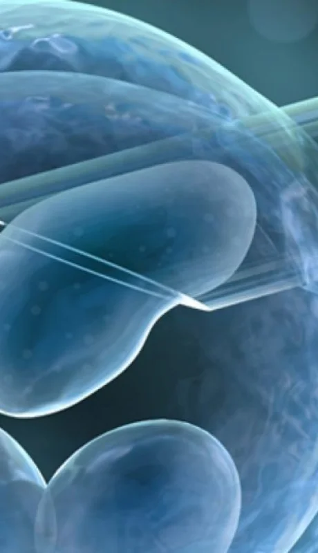 El marido de la mujer falleció el 17 de septiembre de 2020