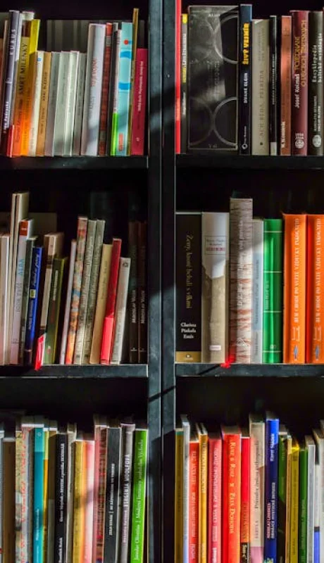 Un libro cuesta en promedio $25.000 y para comprarlo se suelen aprovechar las promociones bancarias.