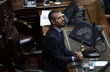 Martín Menem: "Ningún diputado tiene votos propios, le debemos la banca a Milei"