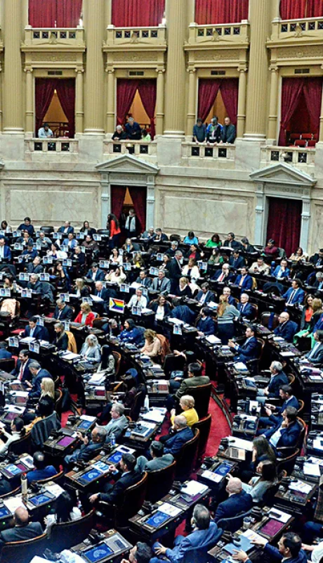 Diputados avanza con el tratamiento del Presupuesto 2025.
