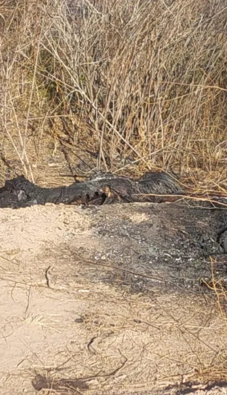Partes de un cadáver fue encontrado en Las Heras/