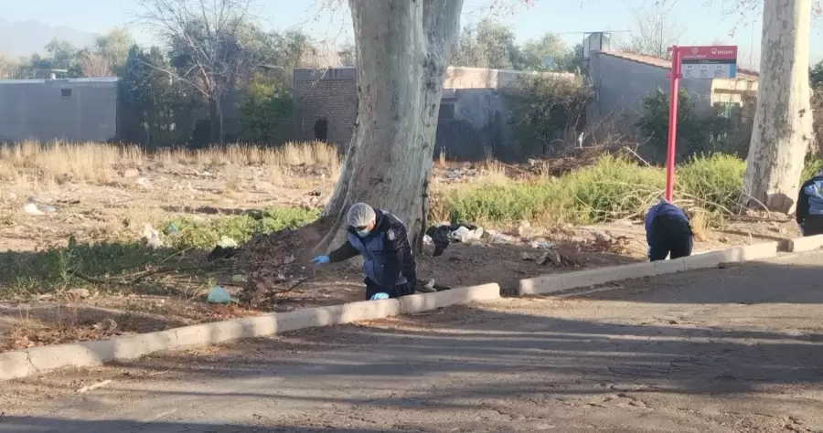 Rastrillaje en la zona del hallazgo/ Foto: Matías Pascualetti