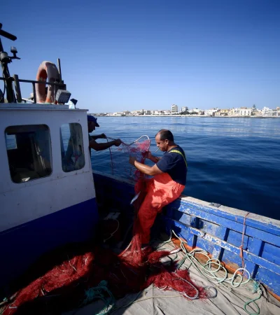 Los pescadores son afectados por la presencia del diminuto "demonio". Foto: web