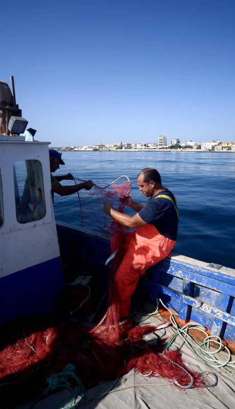 Los pescadores son afectados por la presencia del diminuto "demonio". Foto: web