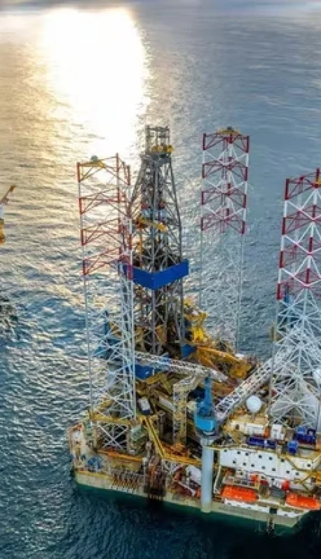 Las plataformas del Proyecto Fénix