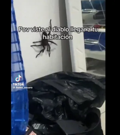 Captura de pantalla.