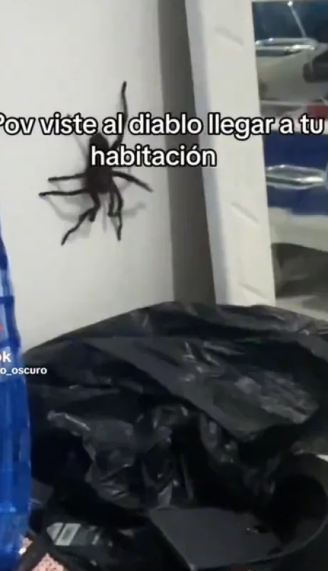 Captura de pantalla.