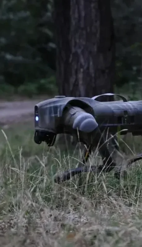 Uno de los ejemplares empleados