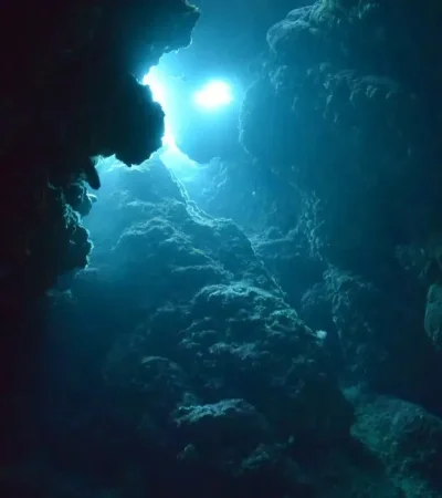 ¿Qué extraños seres milenarios se ocultan en las profundidades de la Tierra?