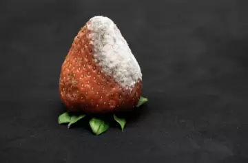 Lo que tenés que hacer para no enfermarte con alimentos contaminados