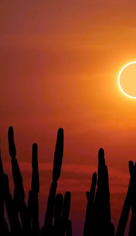 La Luna se ve como un disco oscuro encima de un disco más grande y brillante, creando lo que parece un anillo de fuego