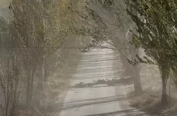 Zonda: la suspensión de clases presenciales se extiende al turno tarde