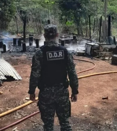 Misiones: el fuego implacable se cobró la vida de dos hermanitos de 1 y 3 años