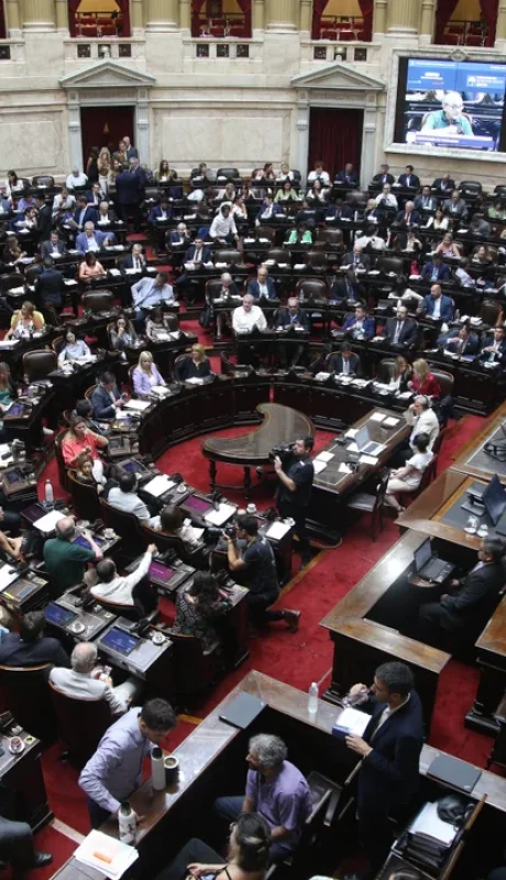 Los diputadaos deberán expedirse