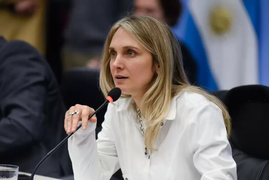 Gabriela Brouwer, preside la Comisión de Previsión