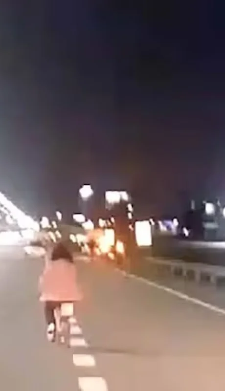 Una niña fue escoltada por automovilistas cuando pedaleada sola por la Panamericana