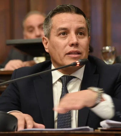 Senador David Sáez. /