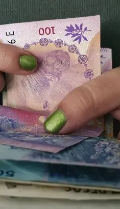 Pronto se publicará la información de ANSES en el Boletín Oficial.