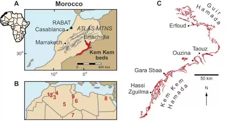 Así se veía la zona conocida en la actualidad como Marruecos durante el Cretácico Superior.