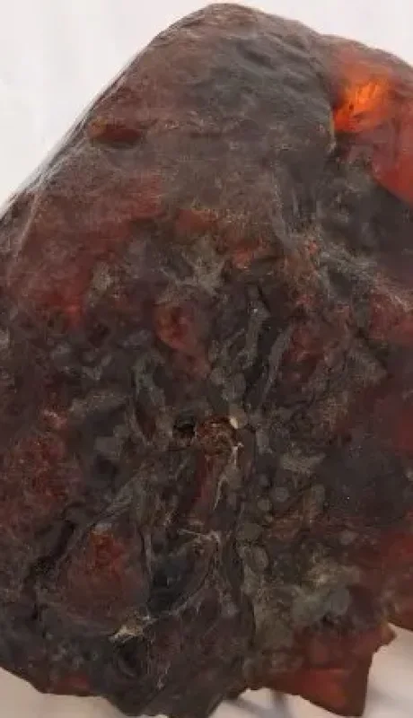 Piedra de ámbar en Rumania