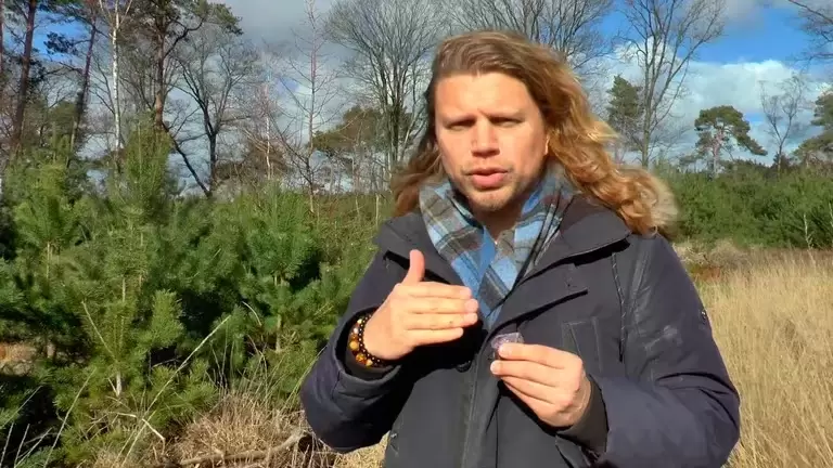 La intención era buena: ayudar a las familias que no podían tener hijos. Pero...