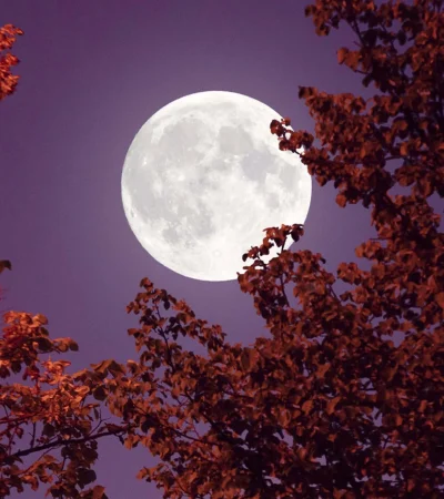 ¿Chau, Luna? El lento adiós de nuestro satélite natural