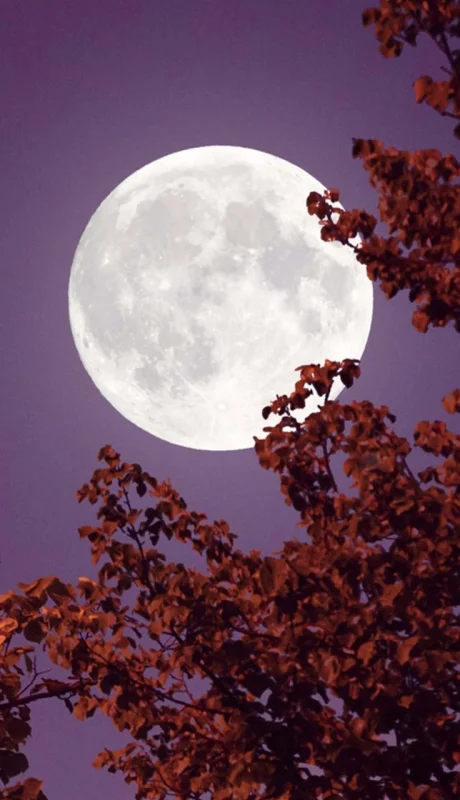 ¿Chau, Luna? El lento adiós de nuestro satélite natural