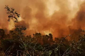 Bolivia en llamas: alerta sanitaria y cielos cerrados por devastadores incendios