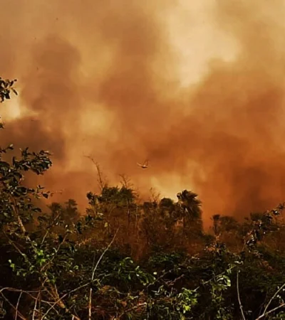 Bolivia en llamas: alerta sanitaria y cielos cerrados por devastadores incendios