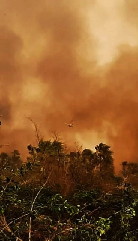 Bolivia en llamas: alerta sanitaria y cielos cerrados por devastadores incendios