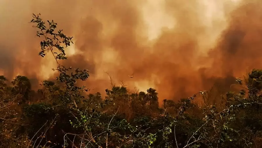 Incendios en Bolivia