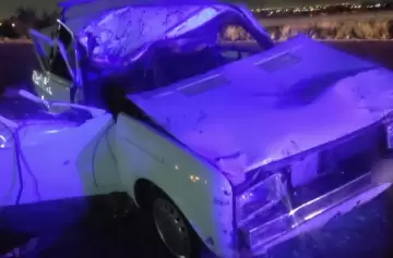 Tres heridos, entre ellos dos menores, al chocar con dos caballos en la ruta