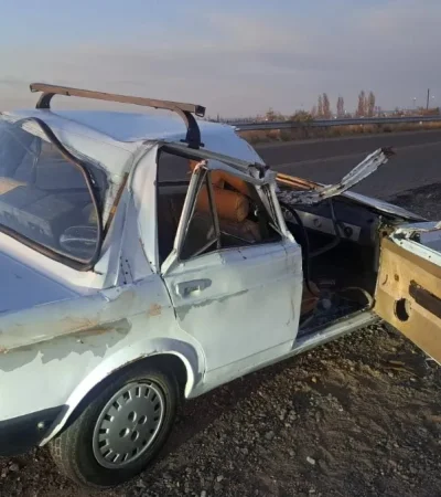 Murió la nena de 4 años que iba en el auto que impactó con dos caballos