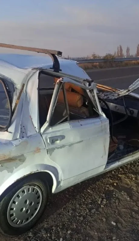 Murió la nena de 4 años que iba en el auto que impactó con dos caballos