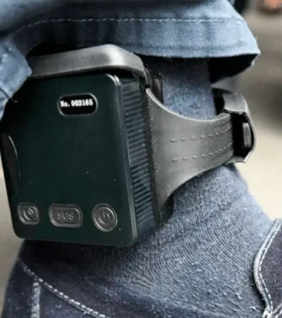 Sistema para contrrolar presos excarcelados  /