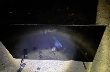 Llegó con un televisor y su abuela sospechó que era robado: lo denunció