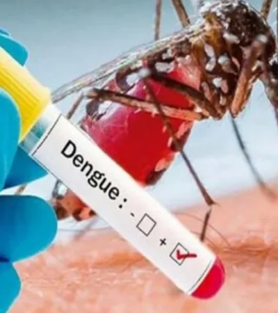 Los casos detectados en Capital Federal y Buenos Aires corresponden al serotipo DEN-1.