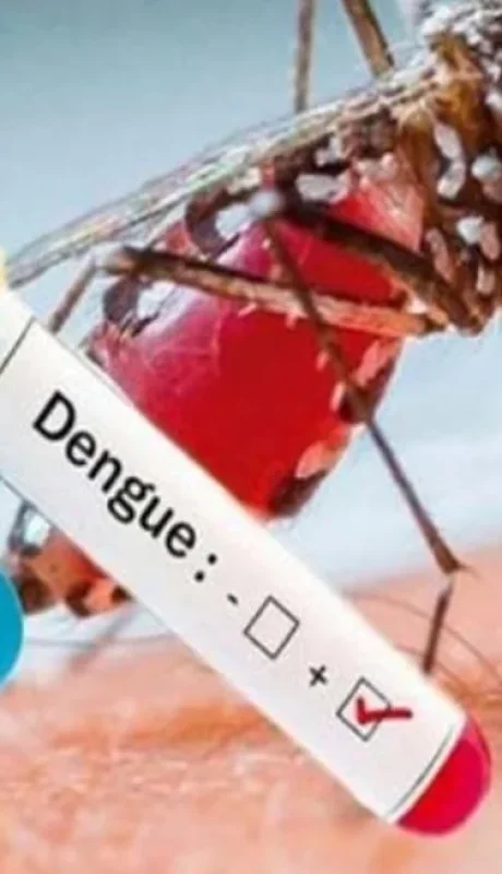 Los casos detectados en Capital Federal y Buenos Aires corresponden al serotipo DEN-1.